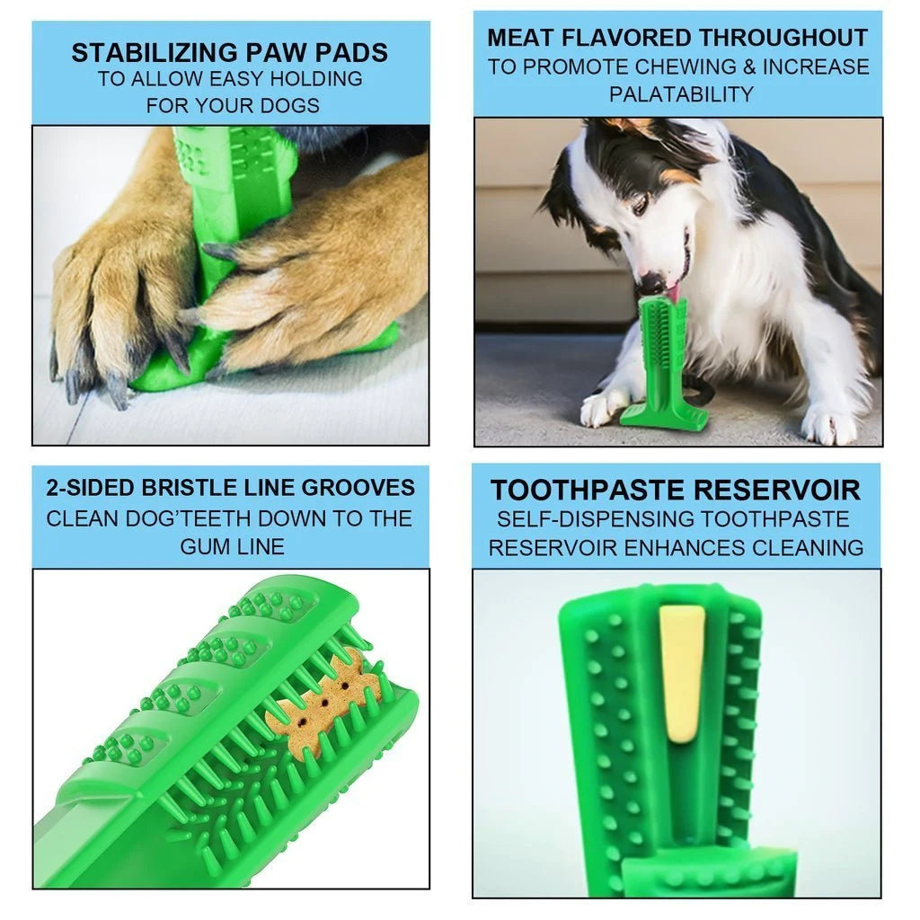 Dog Brushing Stick to Clean Your Dog’s Teeth